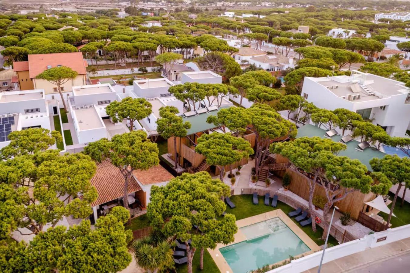 Apartamentos Biopasivos Living Pura Madera Chiclana de la Frontera Exterior foto